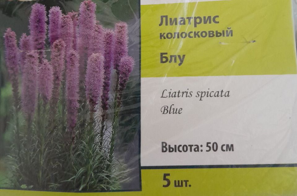 ��� ���������� �� ������: ������� ������� � �����