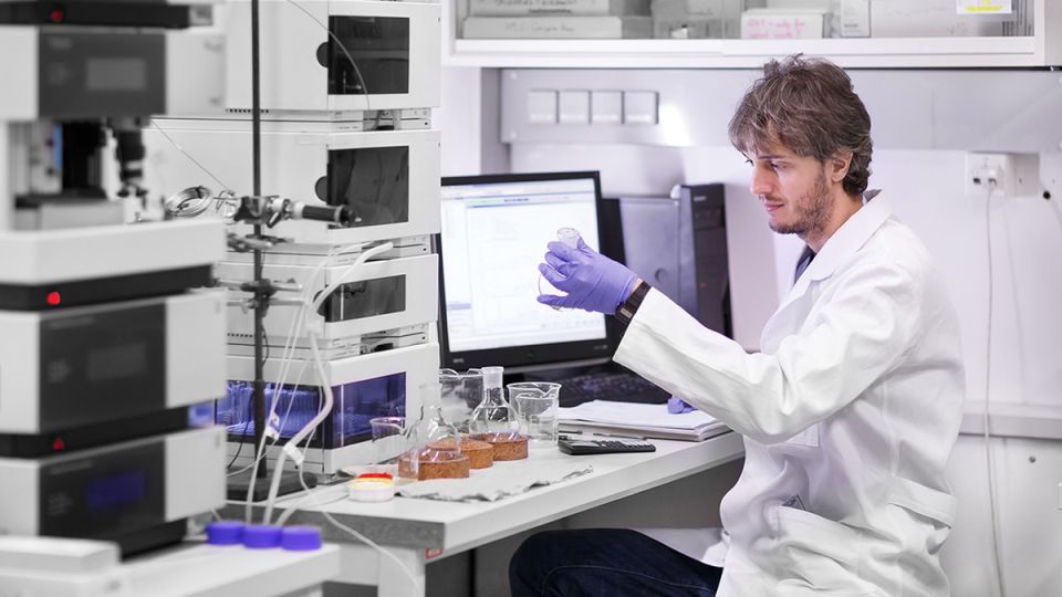 ������ ������� ������������ ����: ��� � �������� ��������