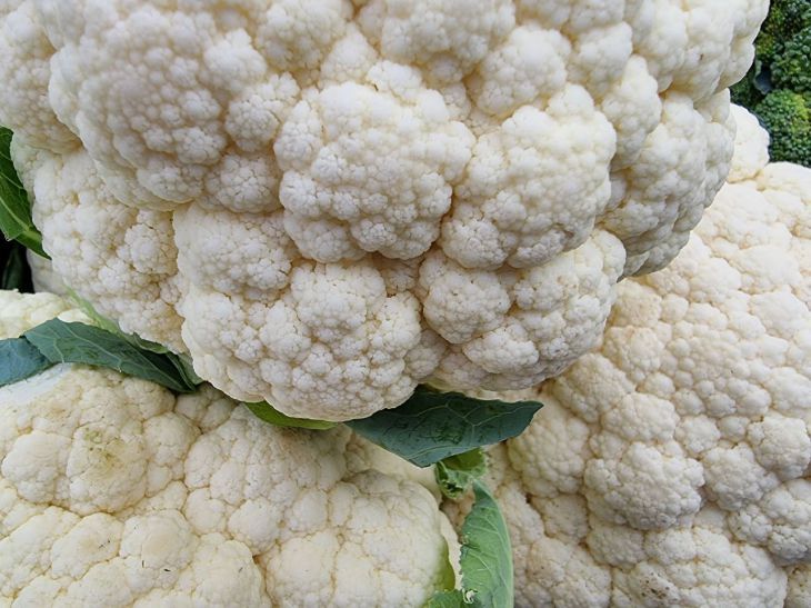 ����� ������� ������� ���� ������� ������� �� ����: �� �� ��� �� �����������