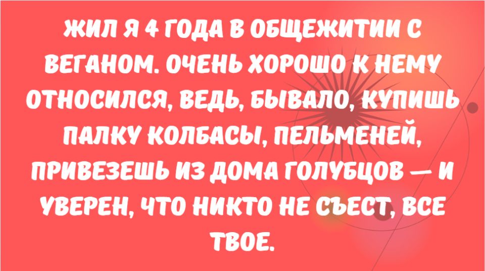 Необычные истории о встречах с вегетарианцами, которые запомнятся навсегда