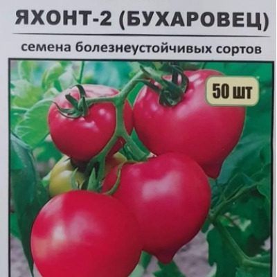 ����� �����-2: ��������� ����� ��� ��������� � 2026 ����