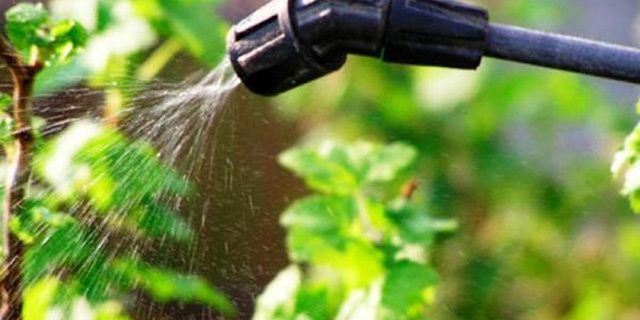 ������� ������ � ������� ���������: ������ �� ���������� ������