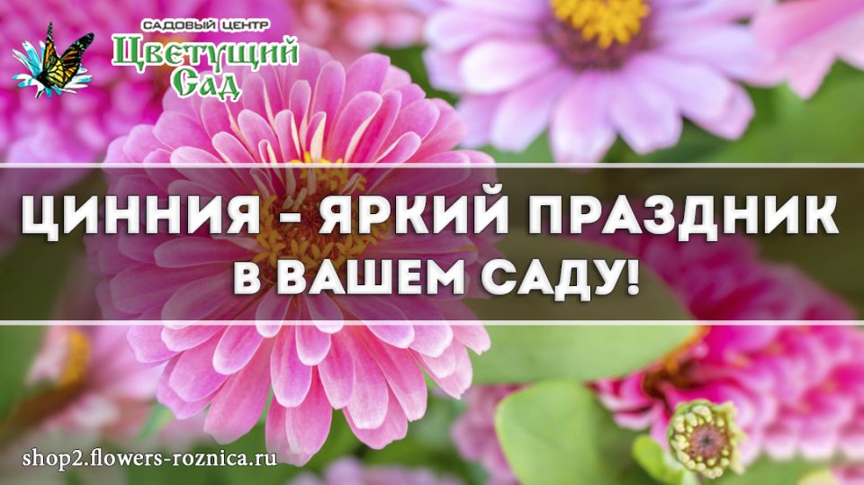 ������: ����� ������� ������ ��� ������ ����