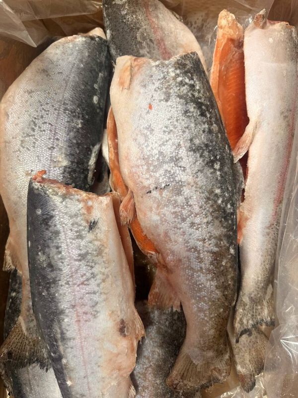 ������ �� ���������: �������� ������������� ���� � ����� �����