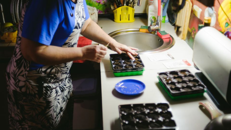 ������� �������� ����������� �������� �����: ����������� �����, �������� ����� ��������