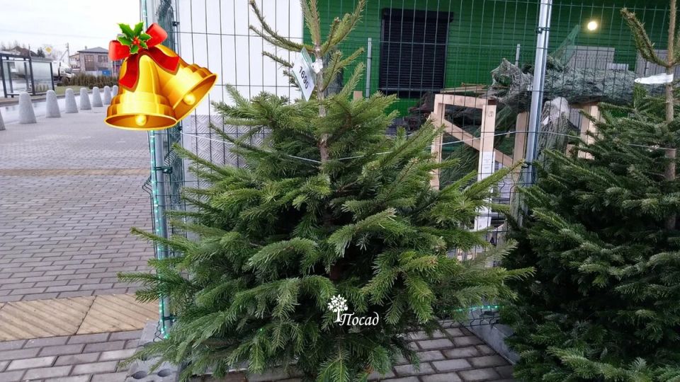 ��� ���������� ���� ������������ � �������� �����: ����������� ������� ����������