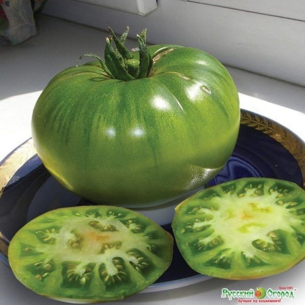 ����������� ����� �������: ����� ������� �������