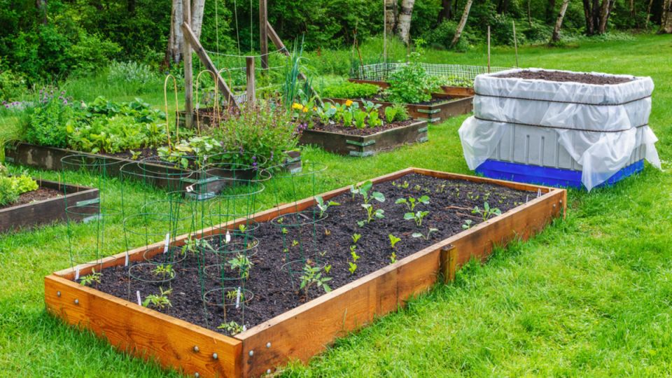 ������������ ��������������: �� �������� ������� � ����������� �����