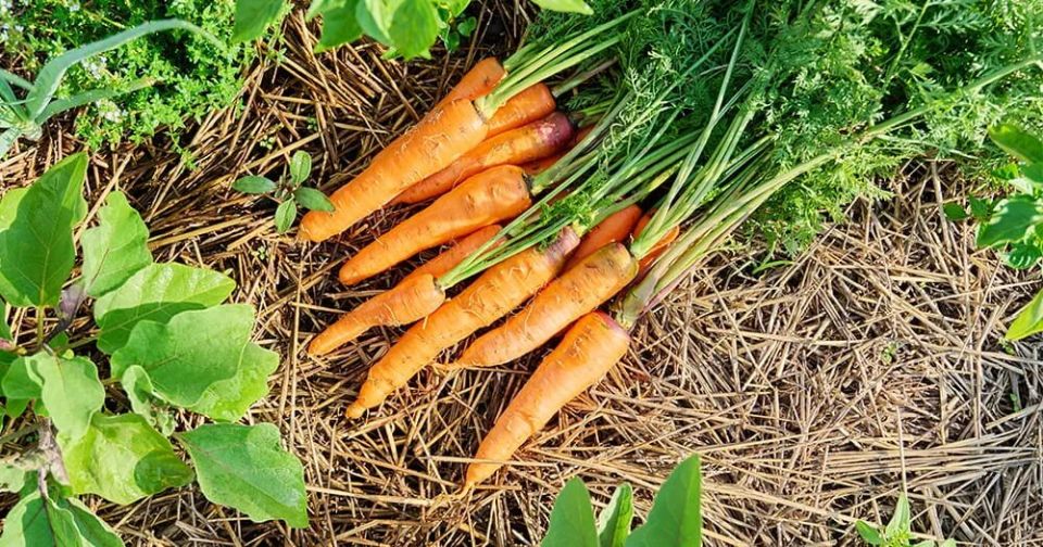 ��� ��������� ���������� ������� ��� ��������� �������� � ������� ������