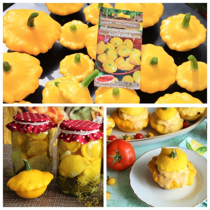 ��� ������������ ������ ������: ��������� � ������ ��� �����