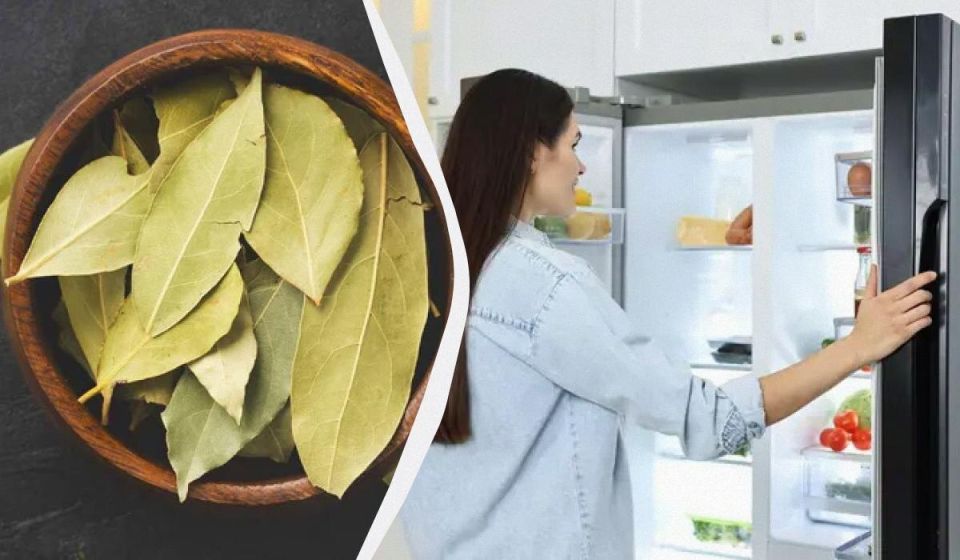Лавровый лист как тихий очиститель: пахнет холодильником и отпугивает насекомых