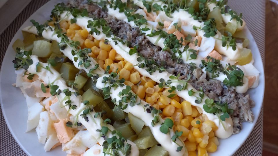 ����� �������: ����������� ����� �� ������ ����