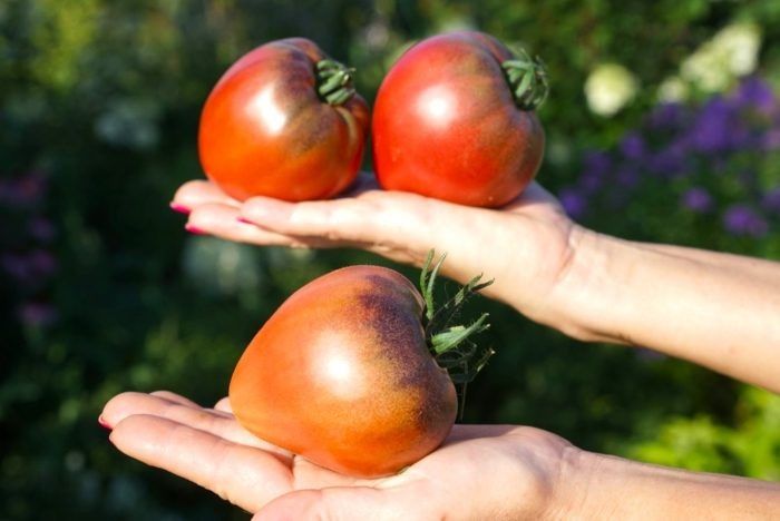 ������-�������� ������ ��������� ������: ��� ��������� ��������� ����� � ����� �������