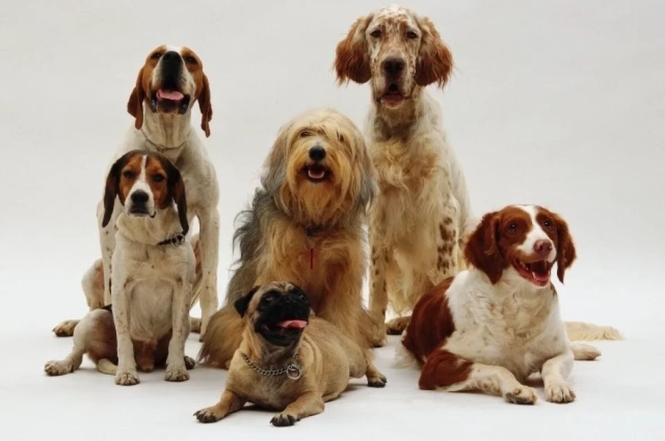 ���������� ������� �� ��������� ���������� �������� ��������� ��������� ������ � ������� ����