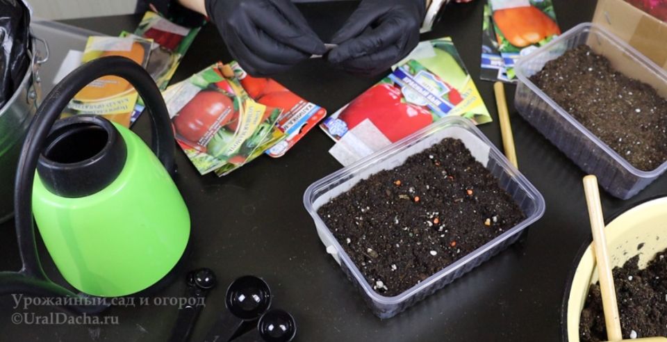 Отказ от лунного календаря: как достигать стабильного урожая без мифов