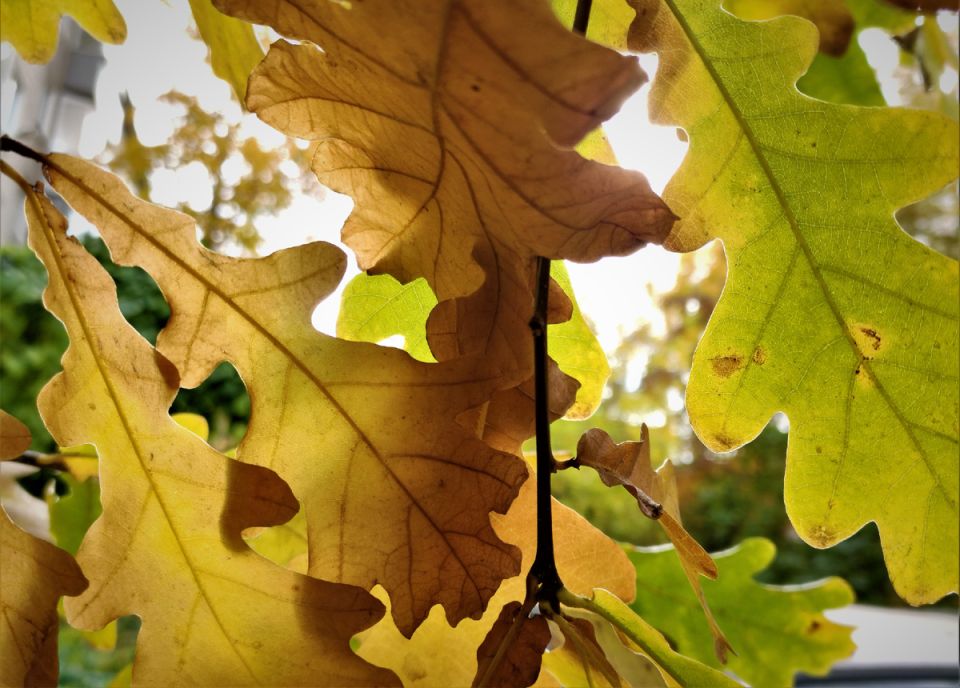 �������� �������� ��� ����� ����� ����: ������� ����������� � �����