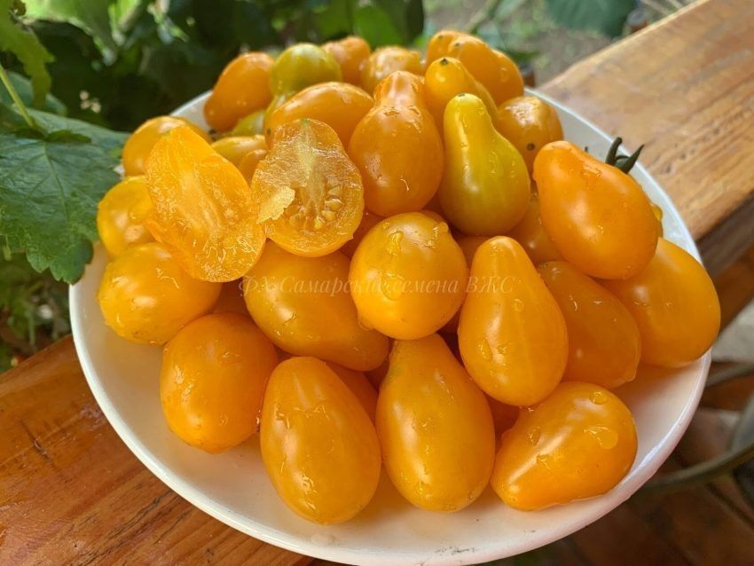 ����� ������� �����: ����� ����� ����� � ������������ �������� �����