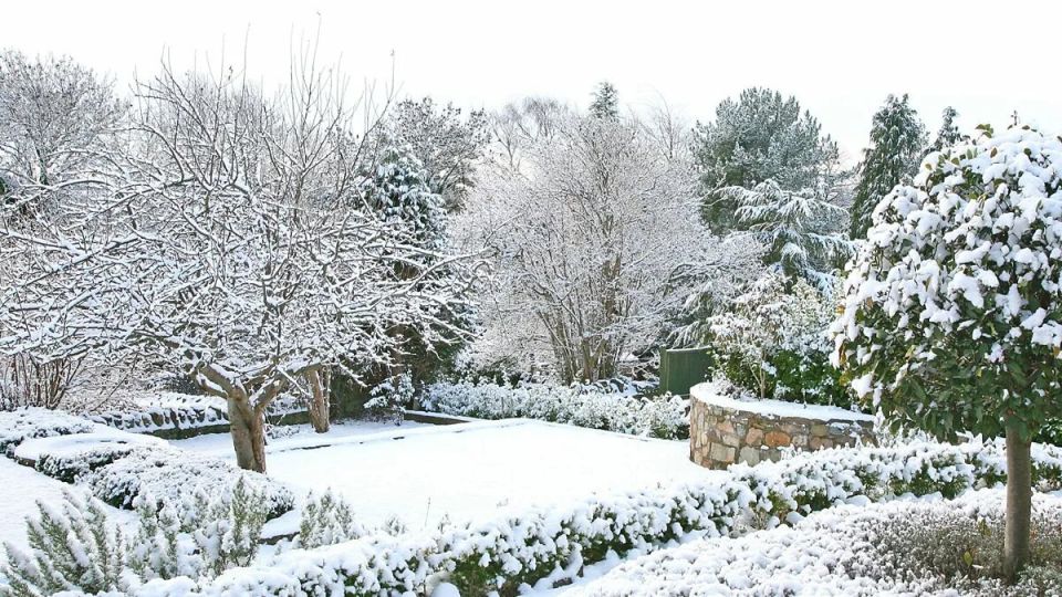 ������ �������� ���� � ����: ��� ������� ����� ������