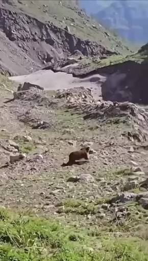     ?  ,         