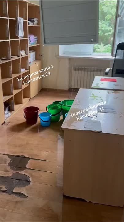     :    ,     