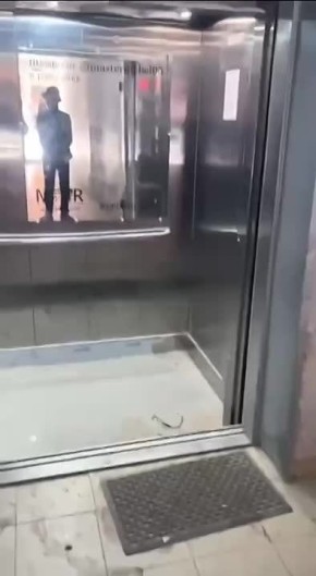    ,     ,     