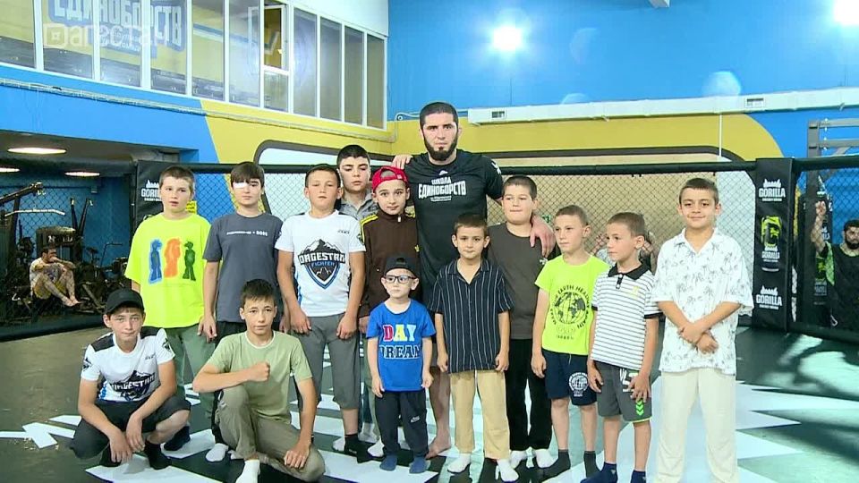  UFC             ,      