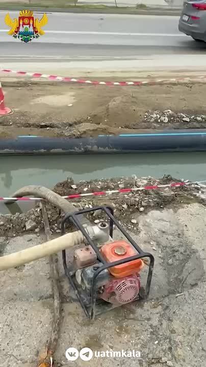  -        ,    ,     -