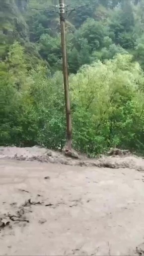         -   ,       ,   -   