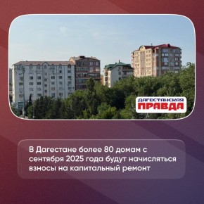    80    2025       