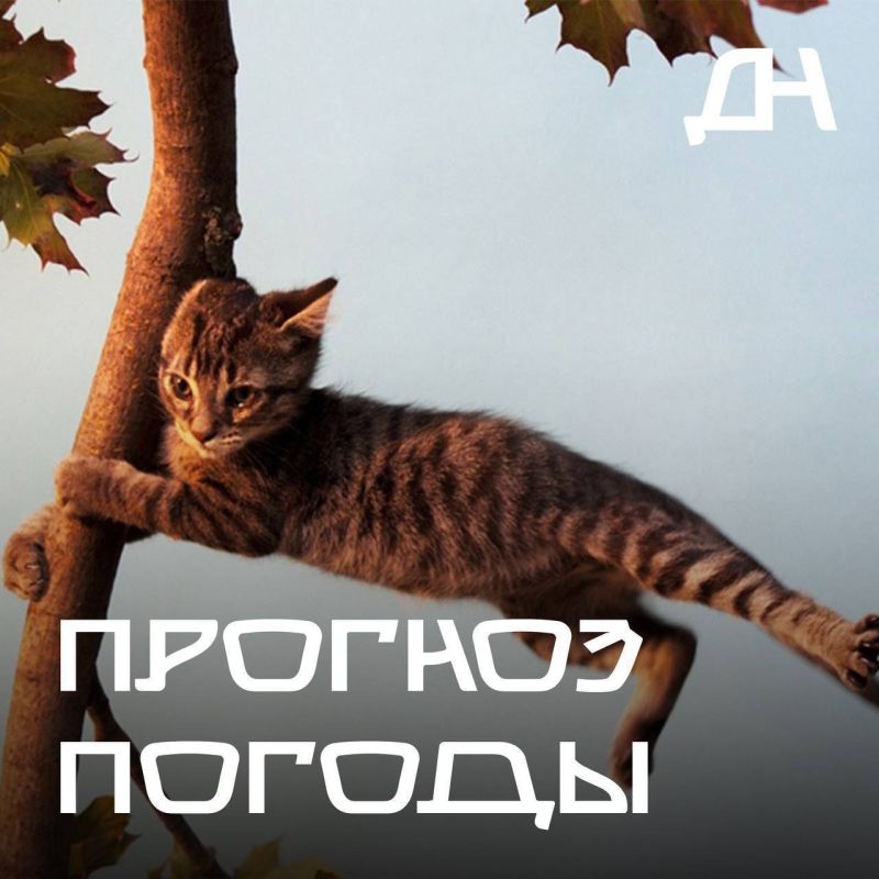  18:00 5   18:00 6        