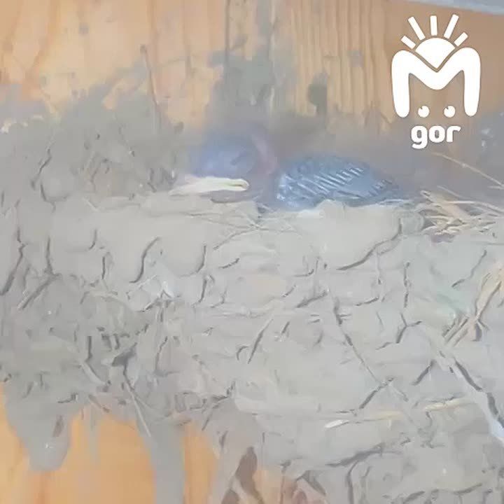 ,    :        