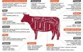 Как выбирать куски говядины для идеальных блюд