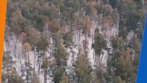 Как мгновенно получать экстренные оповещения МЧС?