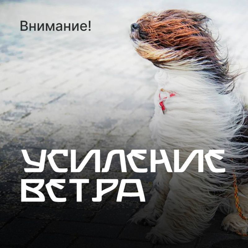  18:00 17   18:00 18              15 /