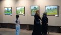 Если вы никогда не были в Китае, то знайте – он зелёный
