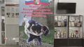 Первенство Дагестана по дзюдо среди юниоров до 21 года - в сюжете РГВК Дагестан