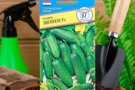  :      