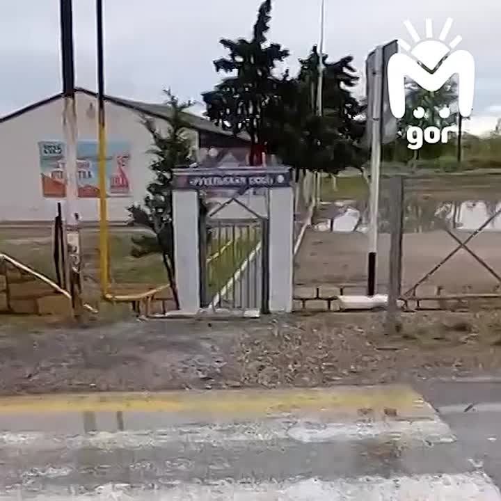  ? .           