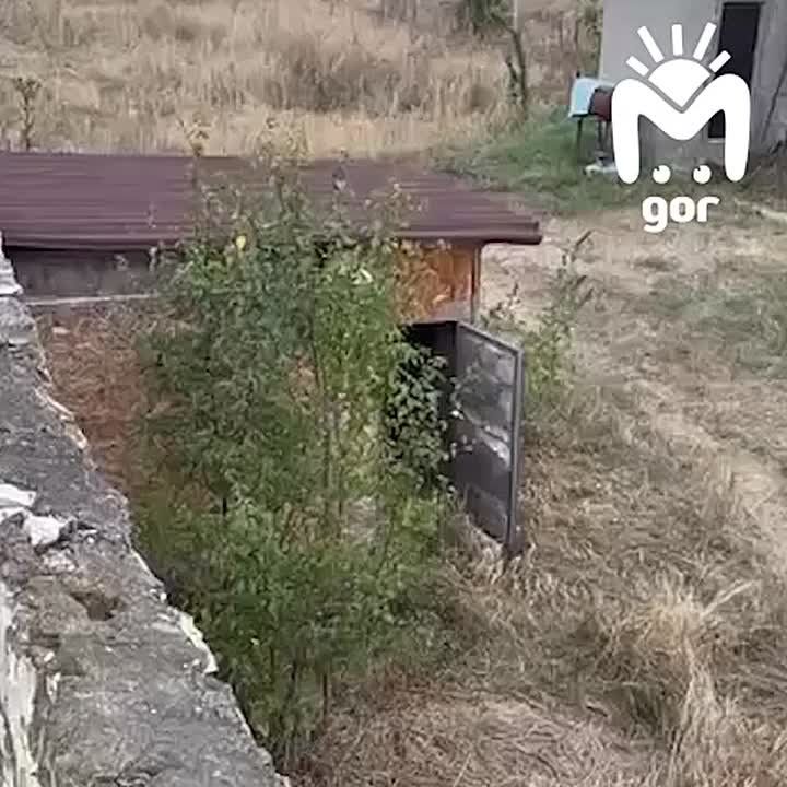 -    2,5   