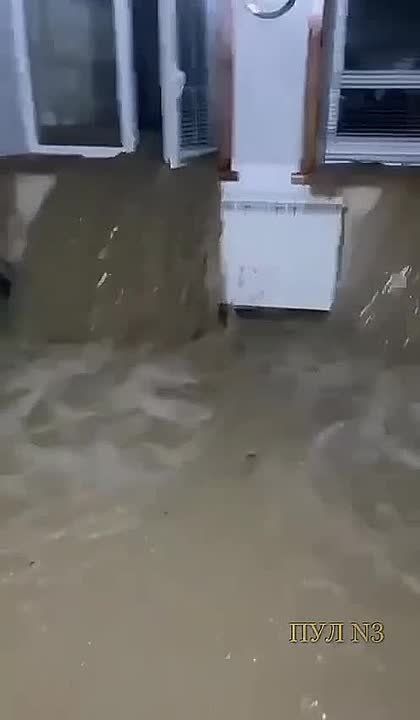 -     :