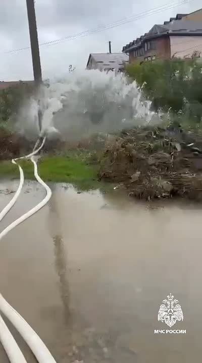          , 