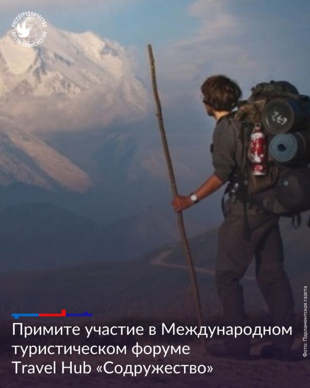       Travel Hub 