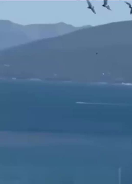     -        ,    ,       ,   ...