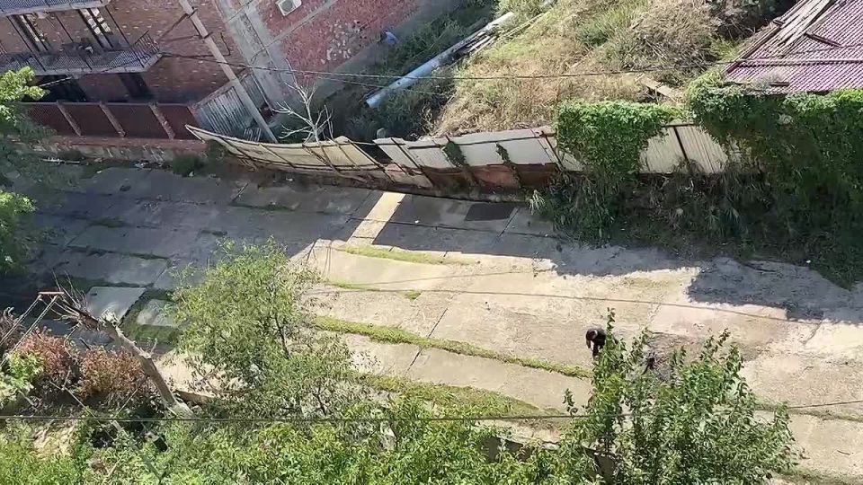                ,   ,         