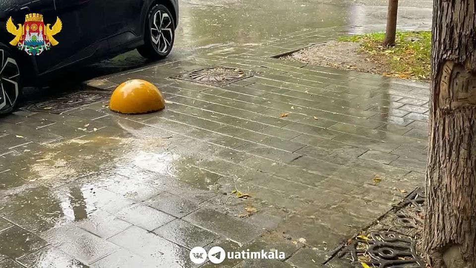    -          :
