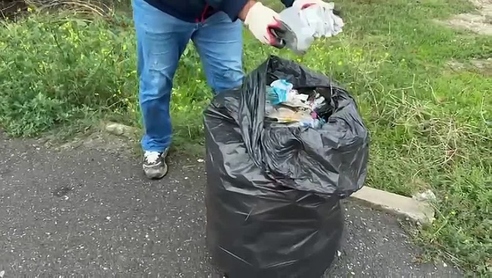         ,             .    