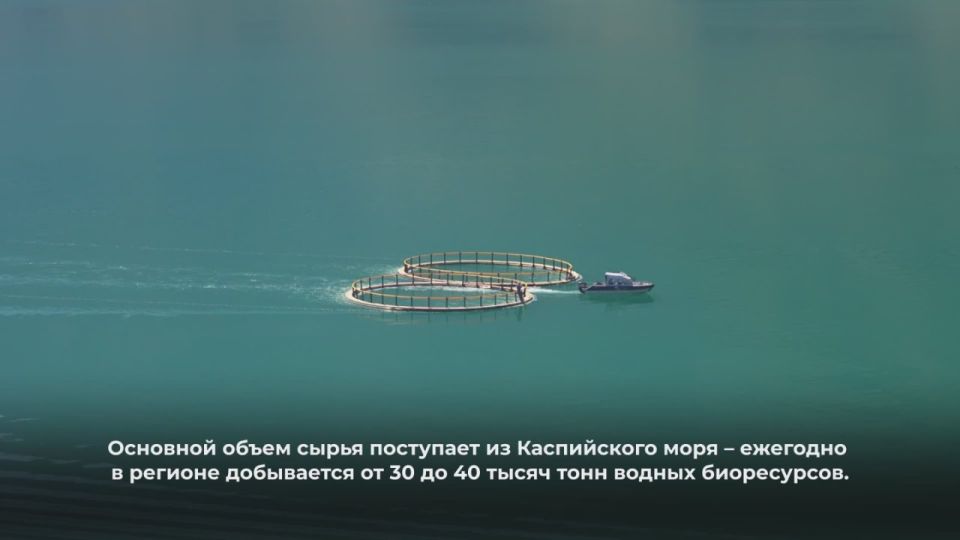         2025         4300 