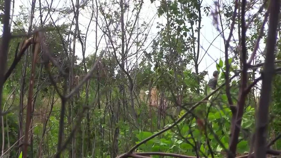 ФЕЙКИ ОБ АРМИИ РОССИИ. ЧАСТЬ 1