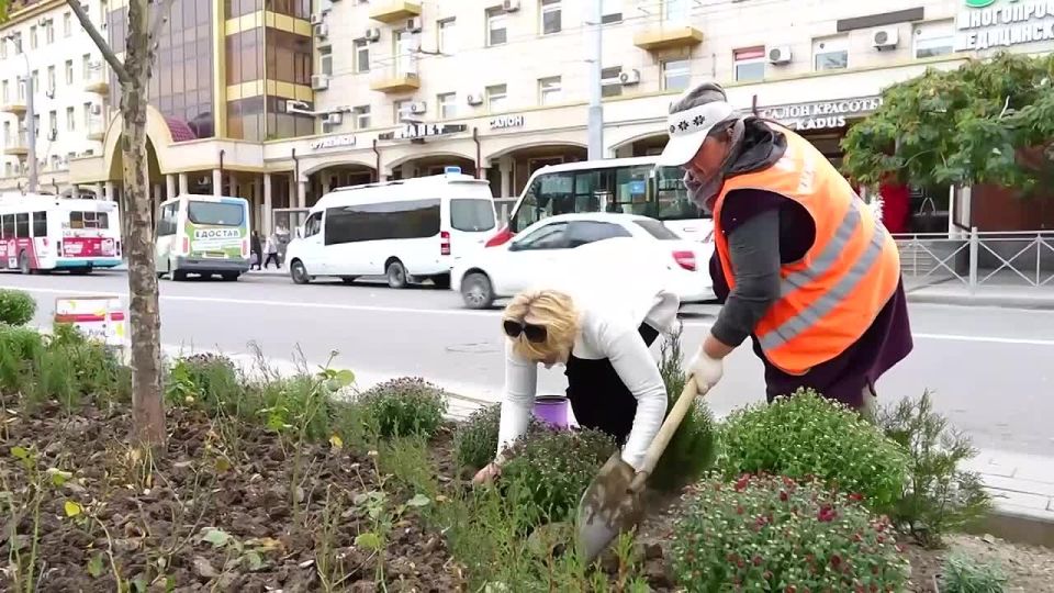 Сотрудники службы зеленого хозяйства Махачкалы провели высадку декоративных растений сразу в нескольких локациях