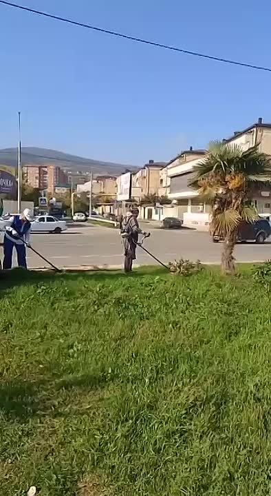 Осенние работы Горзеленхоза: подготовка Дербента к зиме Сотрудники подразделения МБУ «УГХ» Горзеленхоз продолжают проведение осенних работ по благоустройству городской территории и подготовке её к зимнему периоду